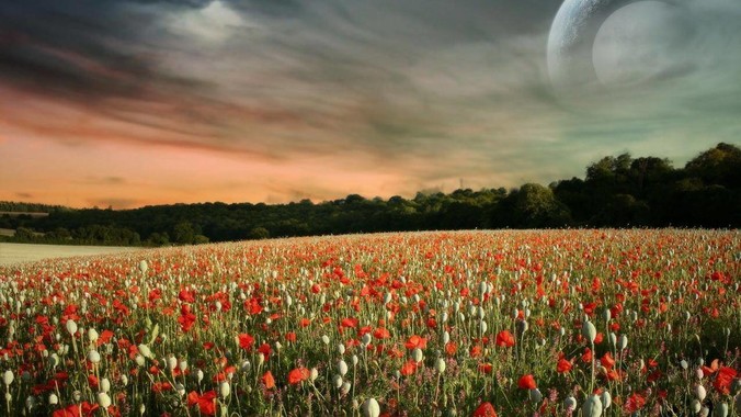 特朗普称美国完成对伊朗三处核设施的打击，具体情况如何？伊朗会如何反击？